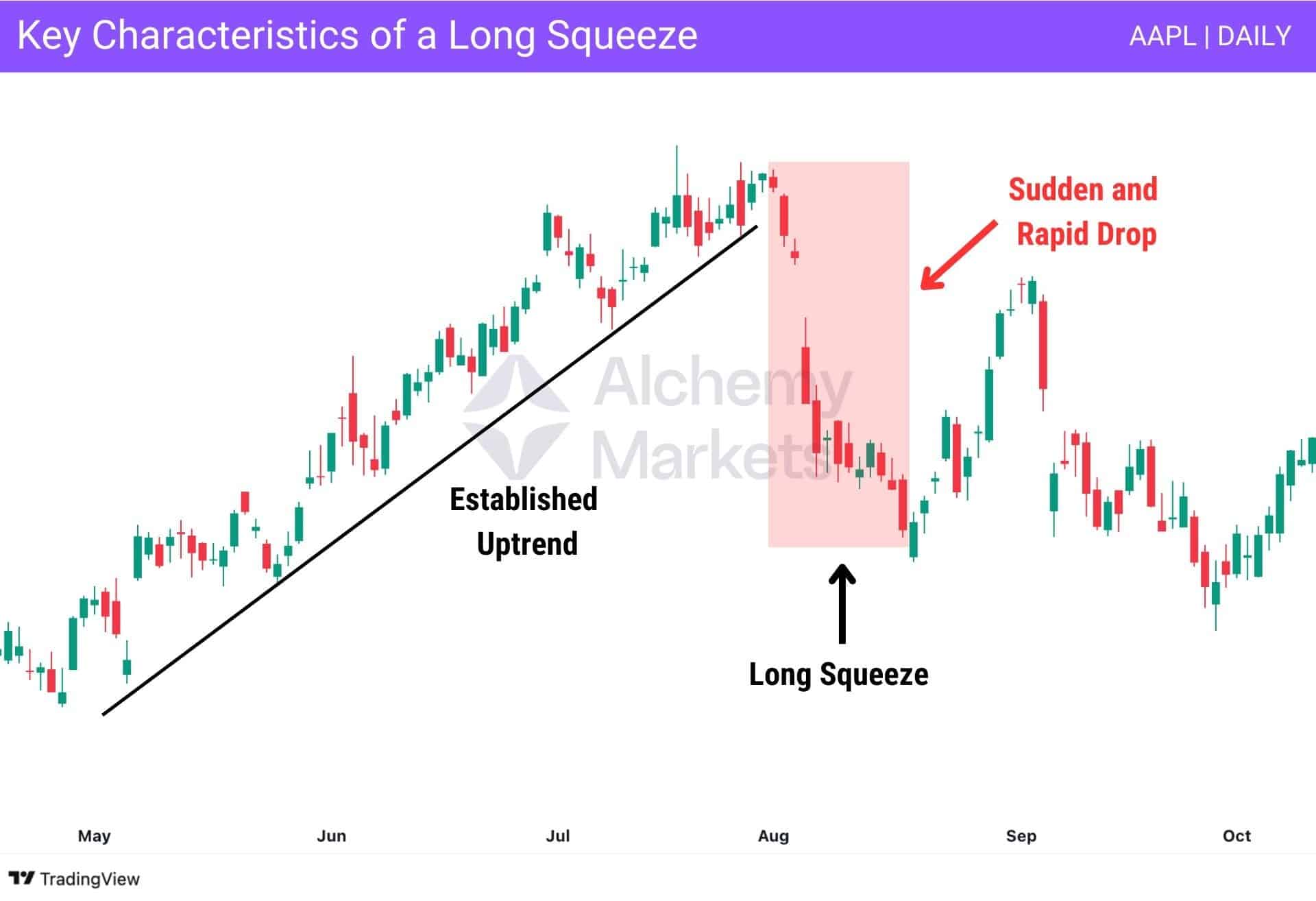 A labeled example to help identify a valid long squeeze on a price chart