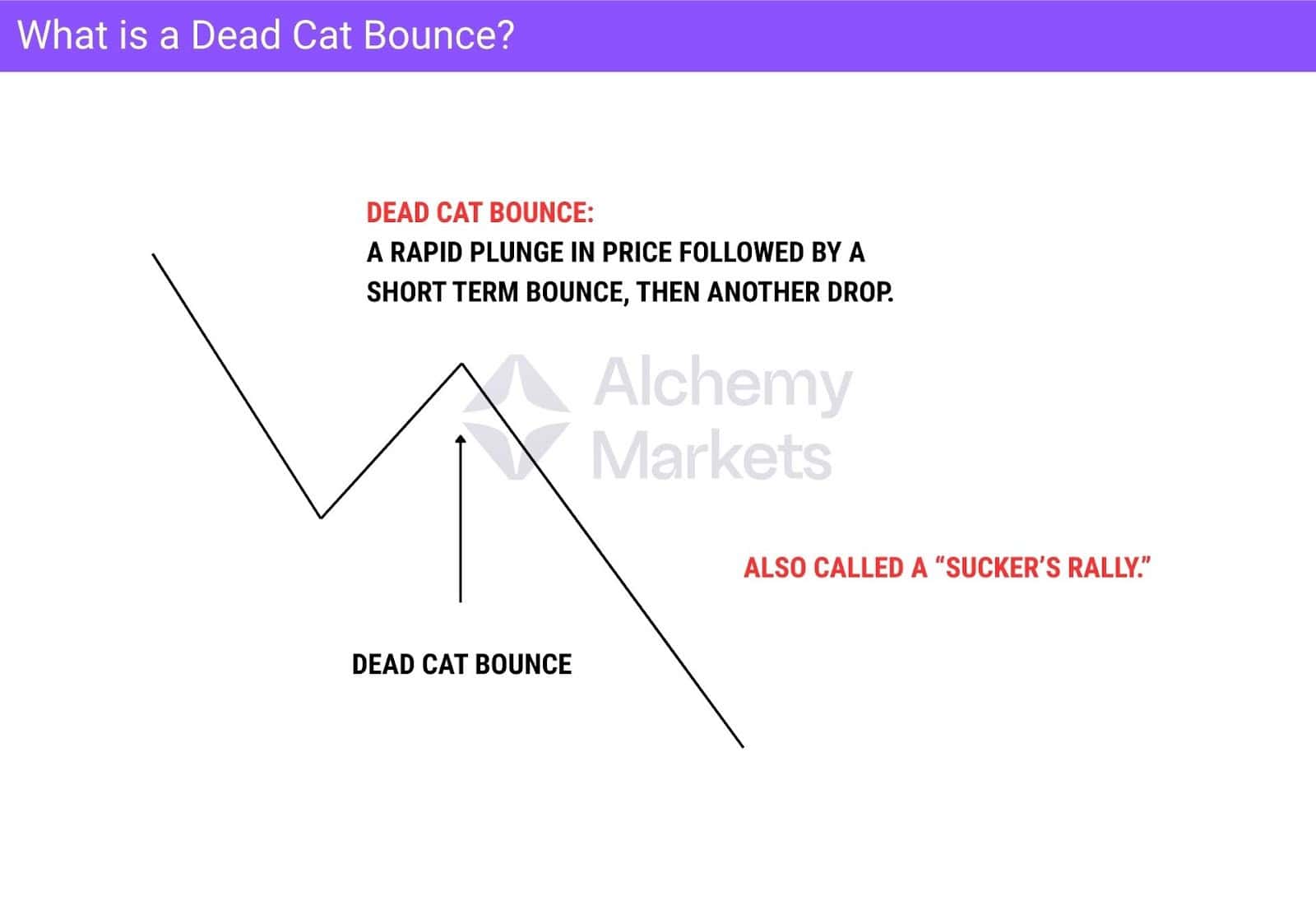 Chart explaining a Dead Cat Bounce: short rebound after sharp price drop, then falls again.