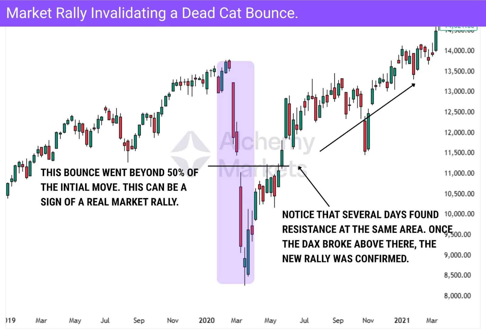 Bounce breaks 50% retrace and confirms real market rally.