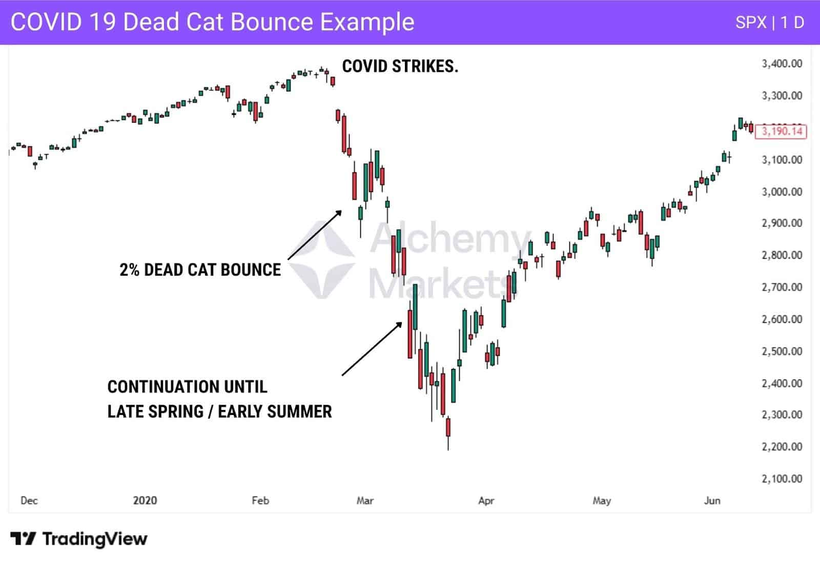SPX chart shows 2% DCB before full market continuation.