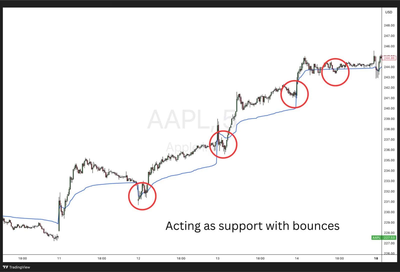 AAPL 5-minute chart showing VWAP line acting as intraday support with multiple price bounces marked.