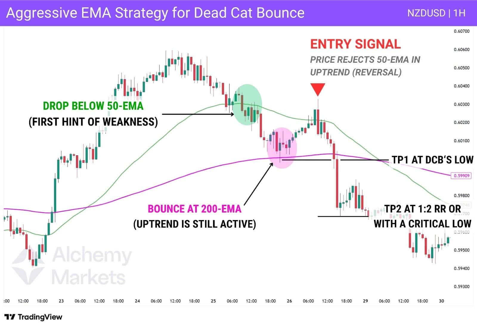 Price rejects 50-EMA; chart shows bounce and target zones.