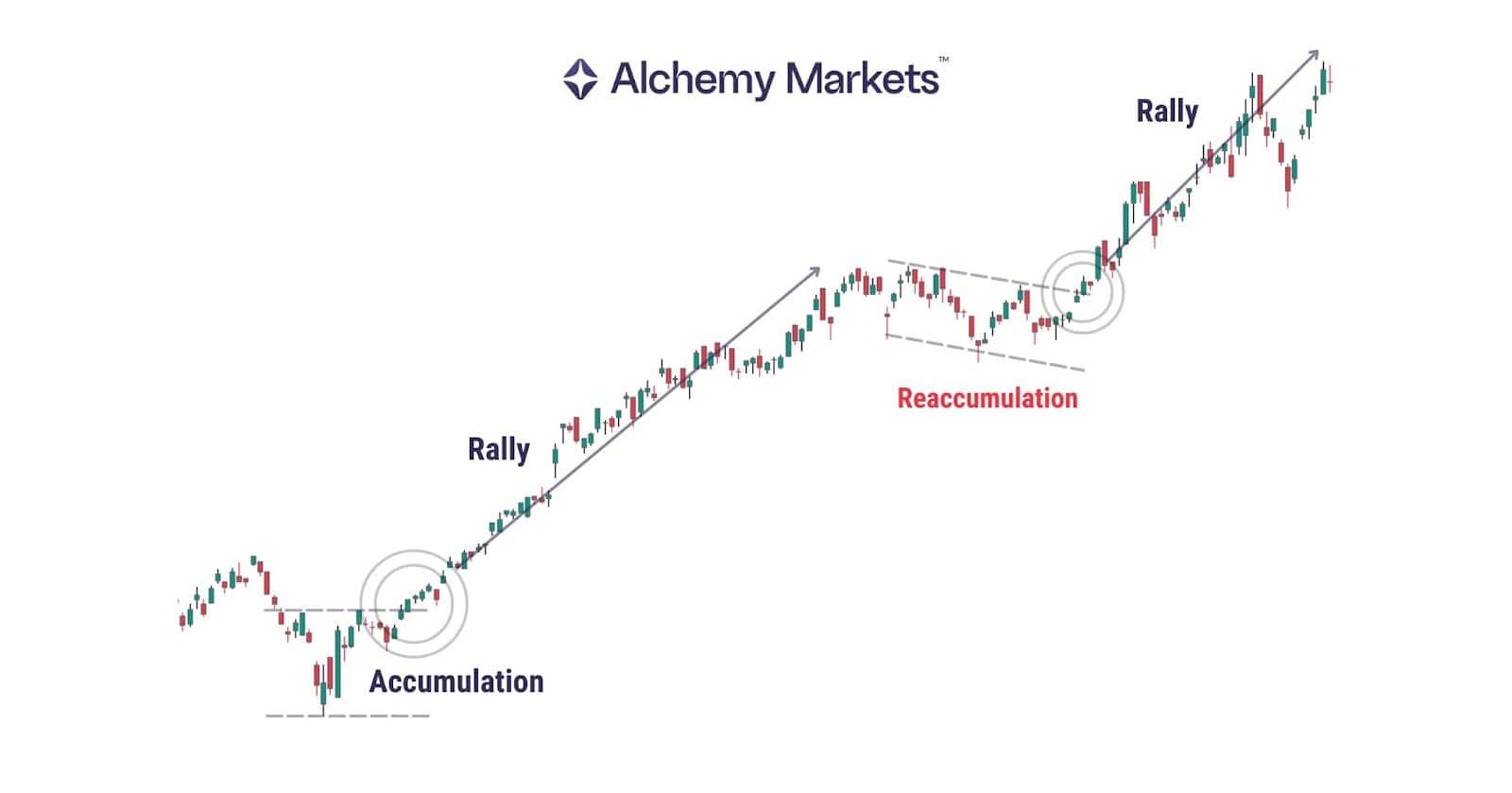 Diagram showing how reaccumulation occurs as a bull flag within a bullish trend.