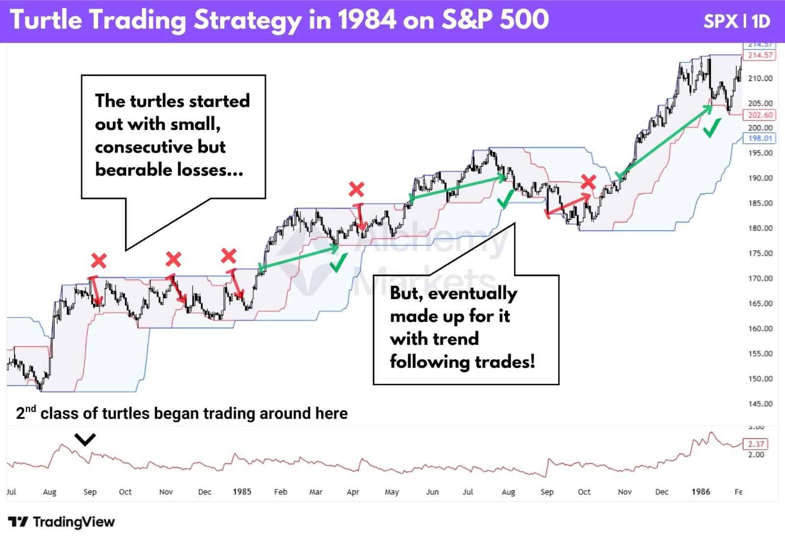 A chart of how the 2nd class of turtles performed in 1984 with Dennis's strategy, on S&P 500.