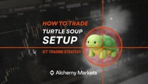Turtle Soup Trading Strategy Explained with Examples