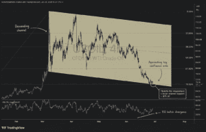 WTI Crude Oil — Channel Floor, Deep Fib, Divergence